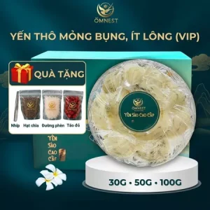 Yến Thô Mỏng Bụng Ít Lông
