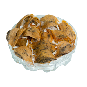 Tổ yến cam thô - 100gr