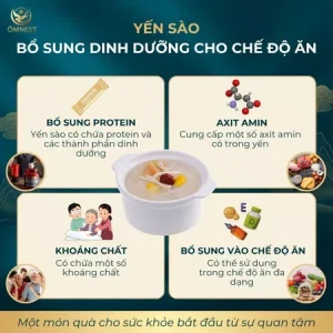 Tổ Yến Thô Form Bánh Mì 17 banh mi tho 4