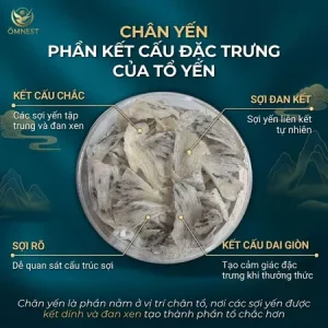 Chân Yến Thô 19 chan yen tho 2