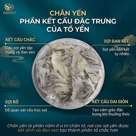 Chân Yến Thô 6 chan yen tho 2