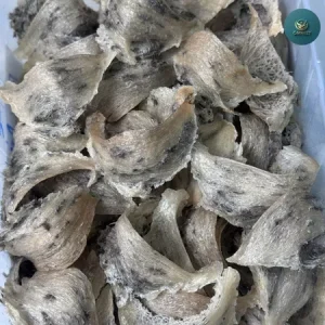 Yến thô đảo Cần Giờ 17 tho dao can gio 5