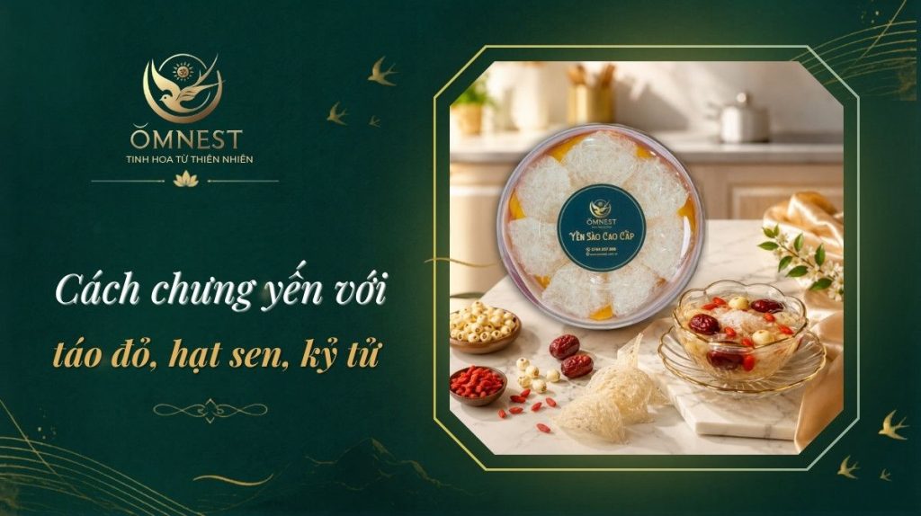 Yến chưng táo đỏ, hạt sen, kỷ tử dễ làm |OMNETS 10 Yến chưng táo đỏ hạt sen kỷ tử