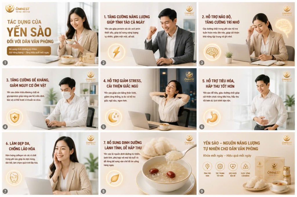 Tác dụng của yến sào đối với dân văn phòng 1 Tác dụng của yến sào đối với dân văn phòng
