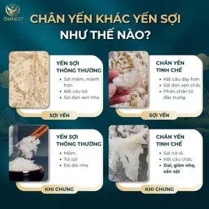 chan yen tinh che 3