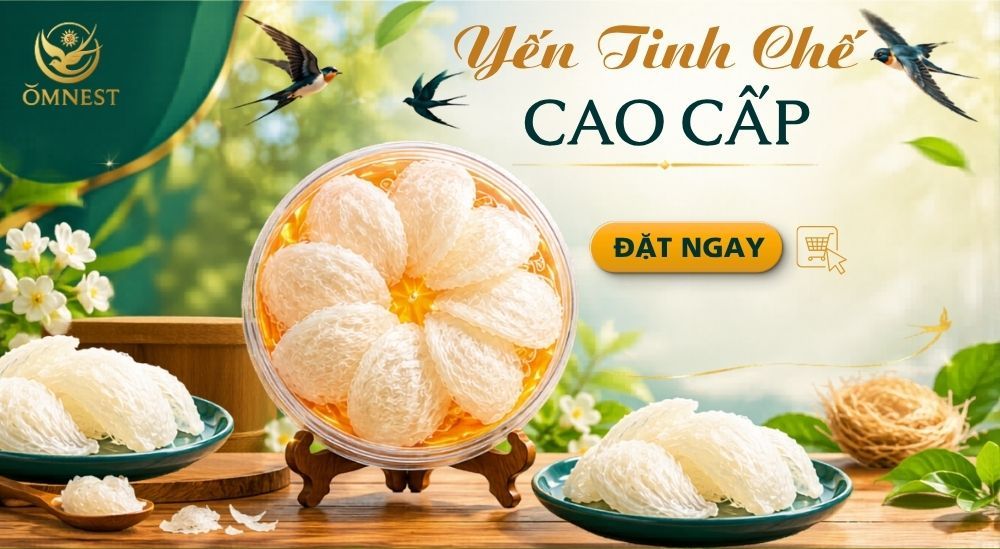 OMNEST - Địa chỉ mua yến tính chế giá tốt TPHCM 