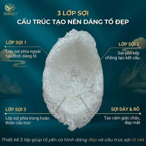 tinh che soi 2