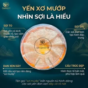 Yến Tinh Chế Xơ Mướp 14 xo muop 2