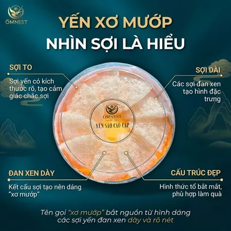 Yến Tinh Chế Xơ Mướp 3 xo muop 2