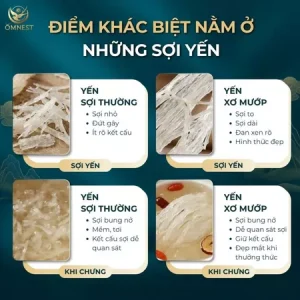 SET YẾN BABY TỰ CHƯNG 6 HỦ – DINH DƯỠNG TINH KHIẾT CHO BÉ 20 xo muop 3