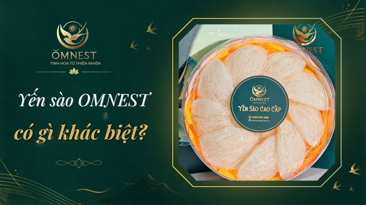 yen sao omnest cao cap 1