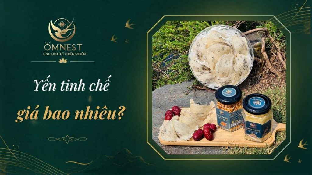 Yến tinh chế giá bao nhiêu tiền ? Cập nhật bảng giá mới nhất 5 yen tinh che gia bao nhieu