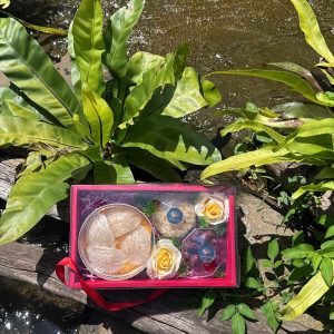 Set Quà Thượng Hạng - Tinh Chế Sợi 50G 10 2aoboqfehx0dxgp2trjgl7jdh2gxjib8yvpexmf22