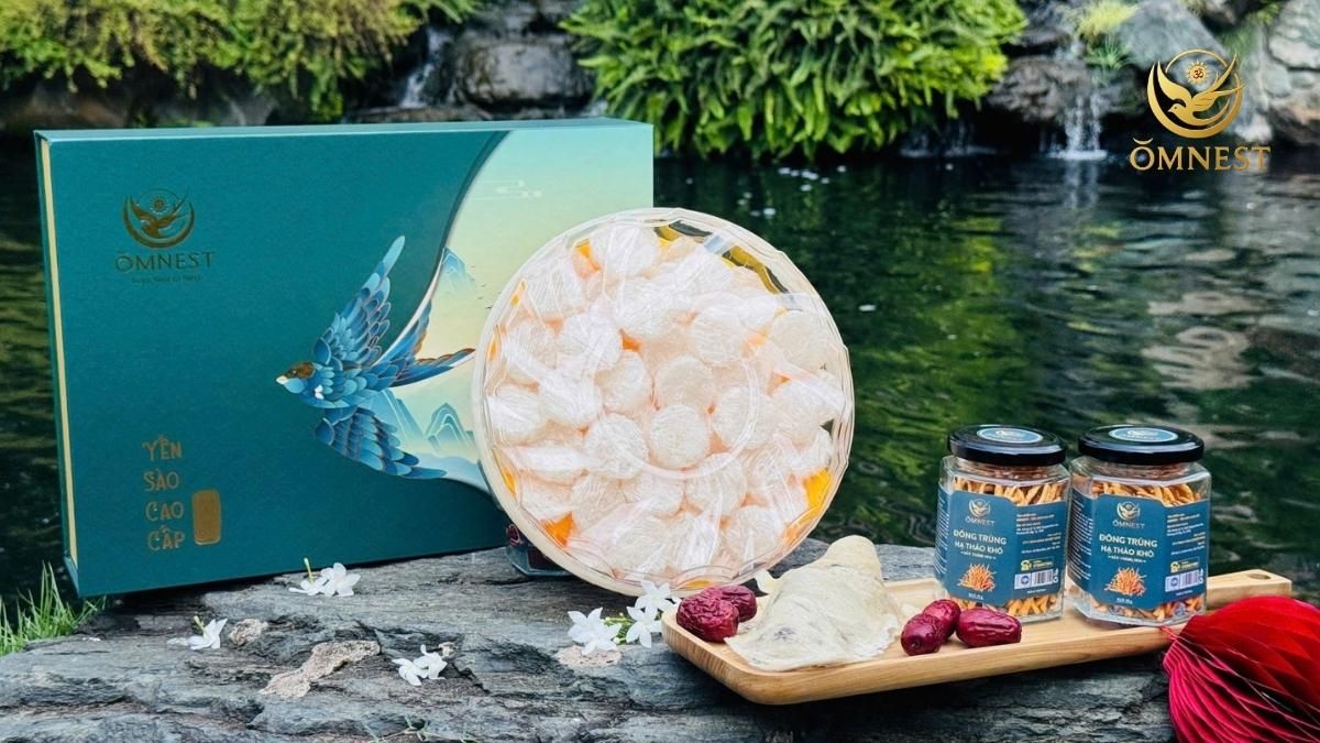 Quà tặng doanh nghiệp yến sào – Giải Pháp Quà Biếu Đẳng Cấp 5 Mẫu quà tặng doanh nghiệp với yến dạng viên tinh chế