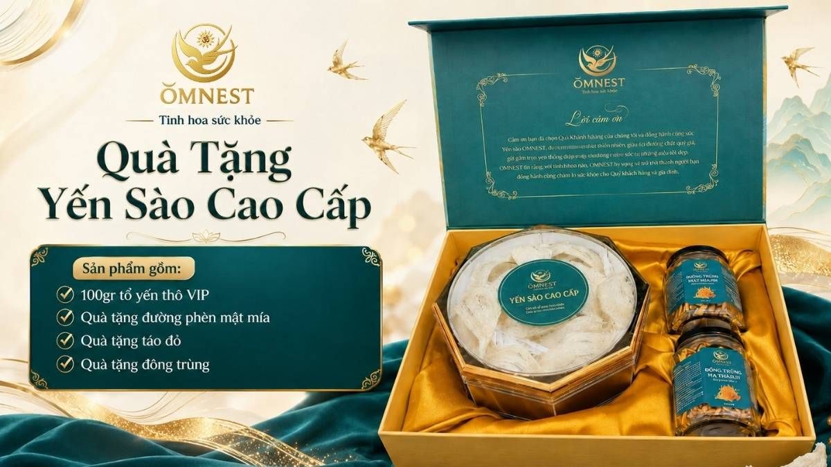 Mẫu hộp quà tặng yến sào OMNEST