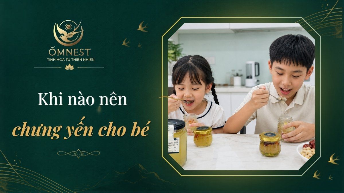9 cách chưng yến cho em bé ngon bổ dưỡng