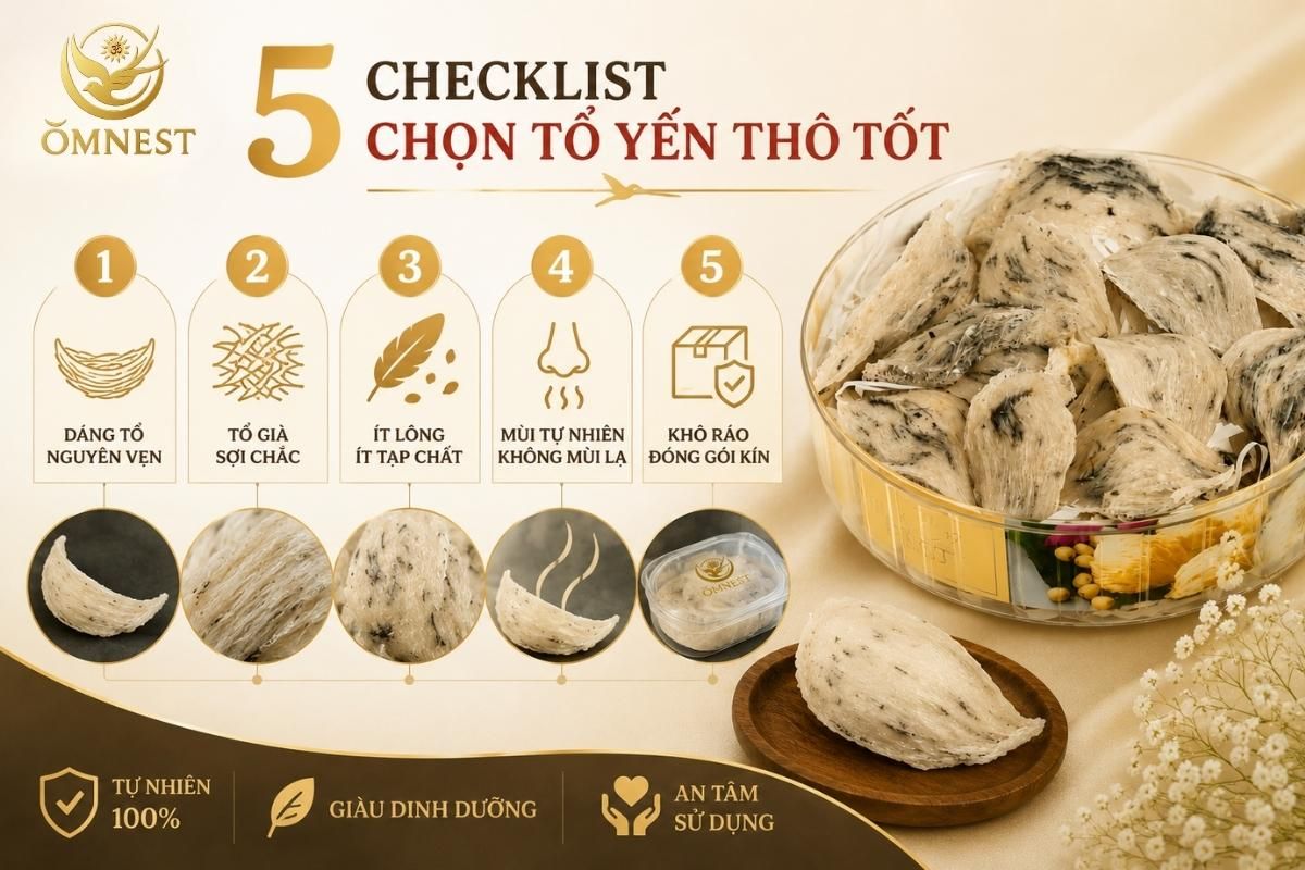 Mua tổ yến thô: 5 lưu ý quan trọng tránh mất tiền oan | OMNEST 1 5 lưu ý khi mua tổ yến thô