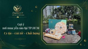 mua yến sào tại TPHCM giá rẻ, uy tín