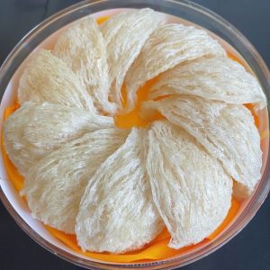 Trang chủ 87 rlk nguyen to