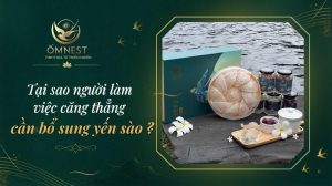 yen sao cho nguoi lam viec cang thang