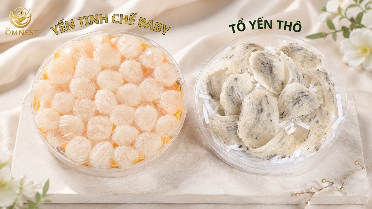 So sánh yến tinh chế baby và tổ yến thô