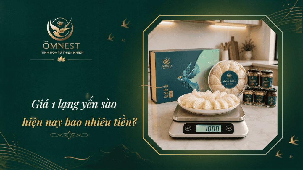 Giá 1 lạng yến bao nhiêu tiền ? 16 1 lạng yến bao nhiêu tiền