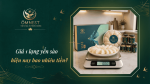 1 lạng yến bao nhiêu tiền