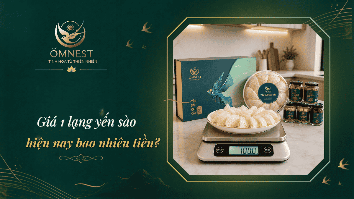 1 lạng yến bao nhiêu tiền