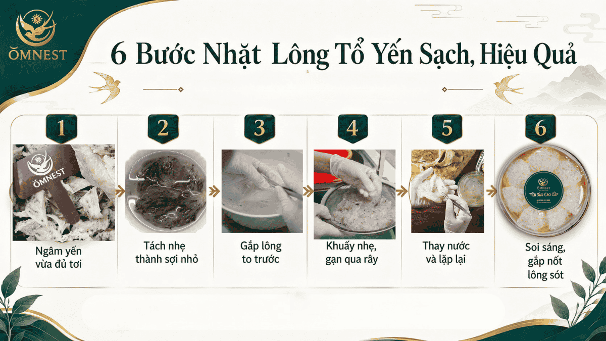 6 bước nhặt lông tổ yến sạch dễ làm