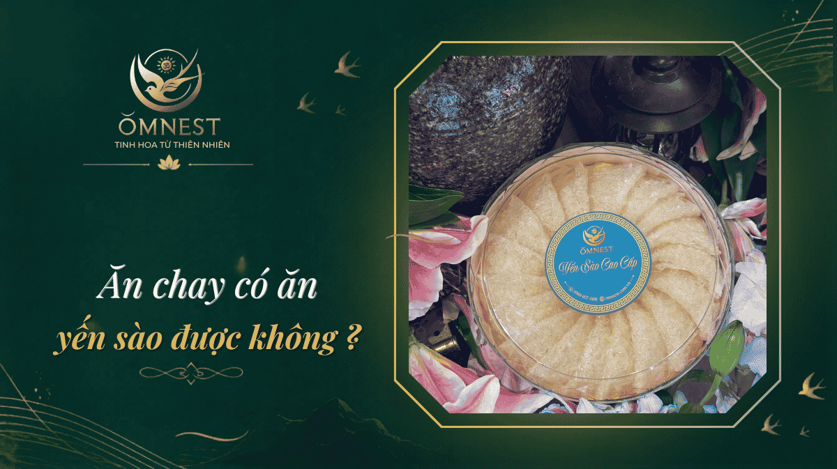 Ăn chay có ăn được yến sào không ?