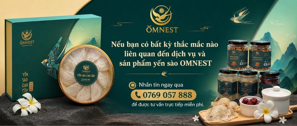 3 Cách bảo quản yến tinh chế giữ sợi đẹp, không ẩm mốc 6 Hướng dẫn bảo quản tổ yến tinh chế OMNEST