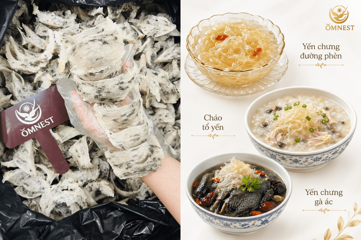 Cách chế biến yến sào cho người ăn chay