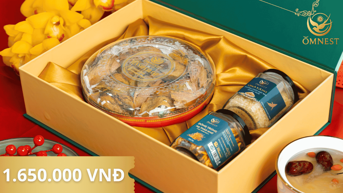 Giá yến thô combo đóng hộp quà 100g