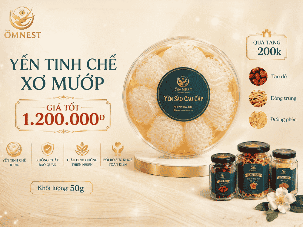 1 lạng yến bao nhiêu tiền Bảng giá 1 lạng yến sào theo từng loại tại OMNEST