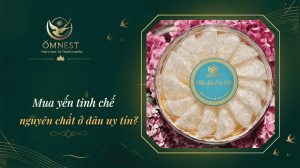 mua yến tinh chế nguyên chất ở đâu