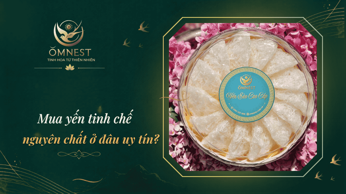 mua yến tinh chế nguyên chất ở đâu