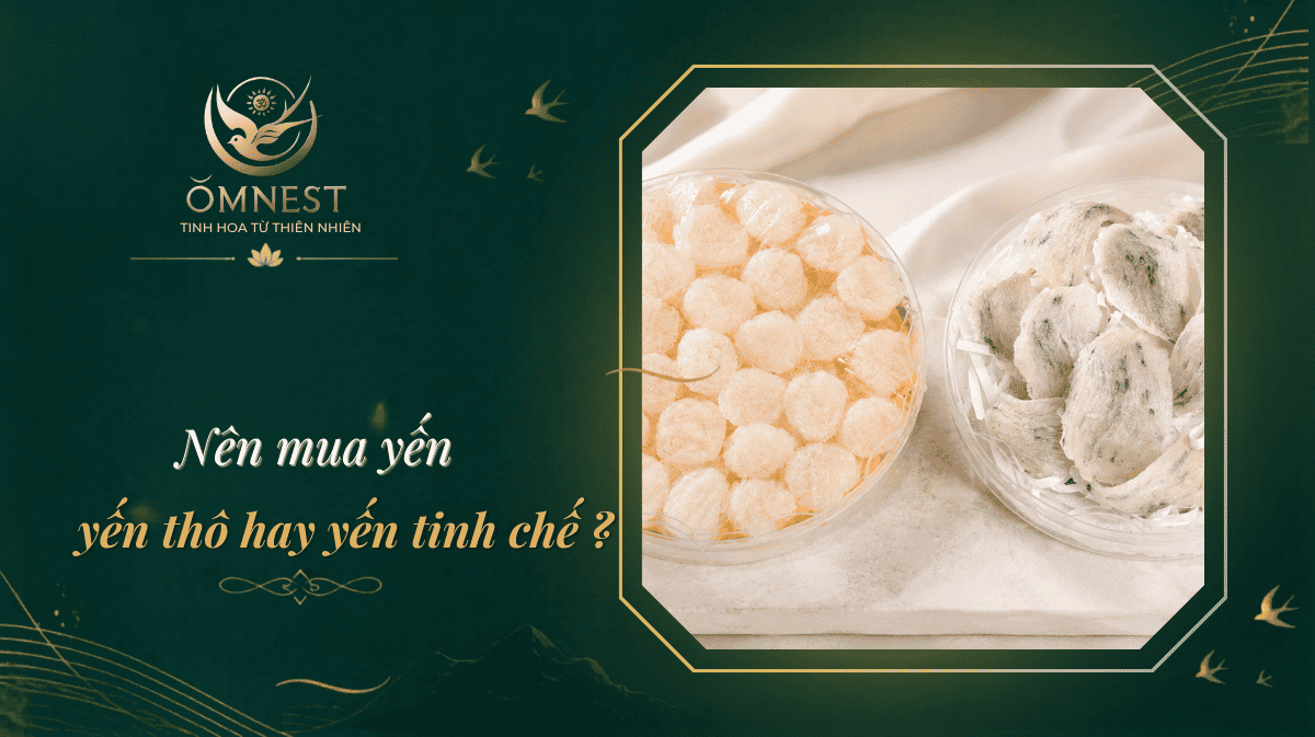 nên mua yến thô hay yến tinh chế