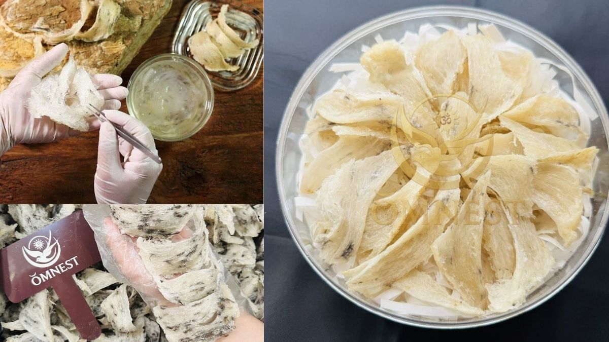 Sai lầm khi ngâm tổ yến cần tránh