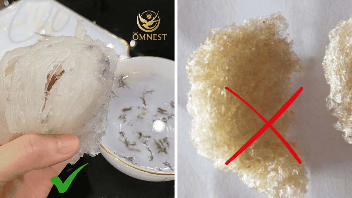 Cách mua tổ yến tinh chế nguyên chất thật không bị lừa