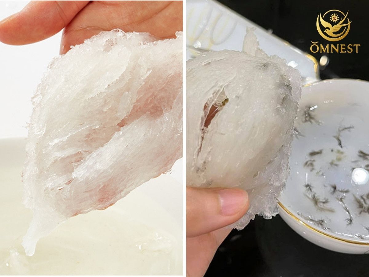 Sai lầm thường gặp khi sơ chế tổ yến