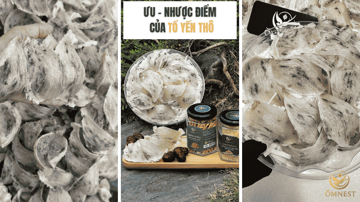Nên mua yến thô hay yến tinh chế? Ưu nhược điểm từng loại 5 Ưu và nhược điểm của tổ yến thô khi tự sơ chế tại nhà