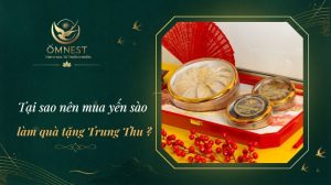 yến sào quà tặng trung thu ý nghĩa