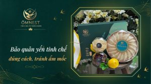 bao quan yen tinh che