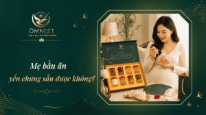 bầu ăn yến chưng sẵn được không