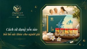 cách sử dụng yến sào cho người lớn tuổi