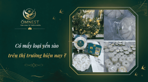 co may loai yen sao tren thi truong hien nay