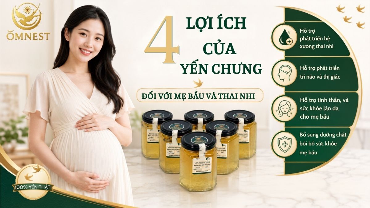 Công dụng của yến chưng đối với mẹ bầu và thai nhi