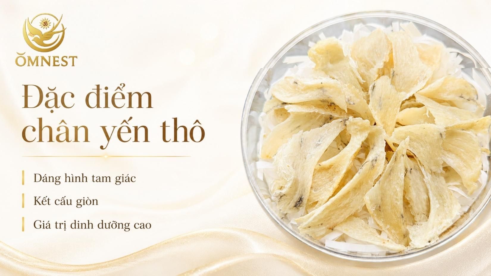 Đặc điểm chân yến thô dáng tam giác, sợi dày và kết cấu giòn