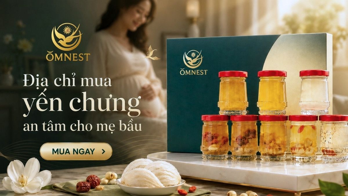 Địa chỉ mua yến chưng sẵn bồi bổ sức khỏe mẹ bầu trong giai đoạn thai kỳ