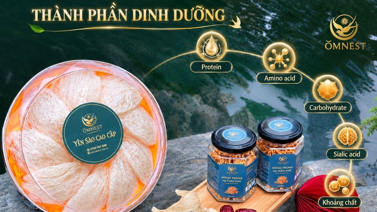 Giá trị dinh dưỡng có trong yến chưng